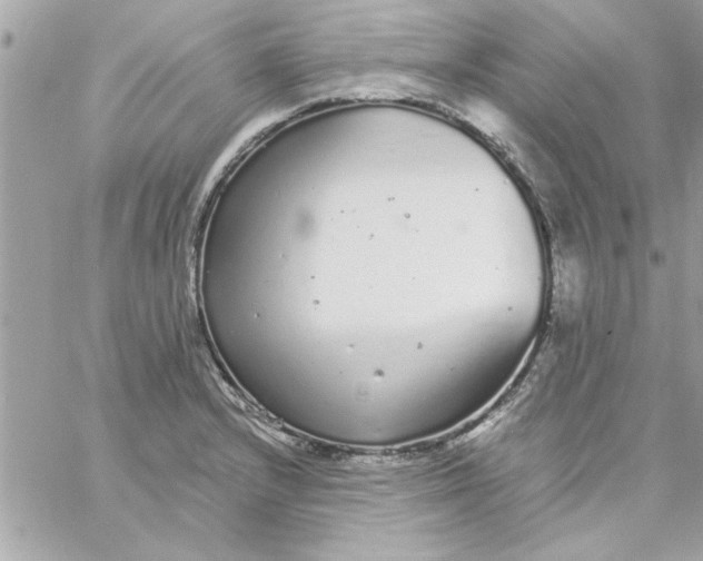 X0000057101232200510071929