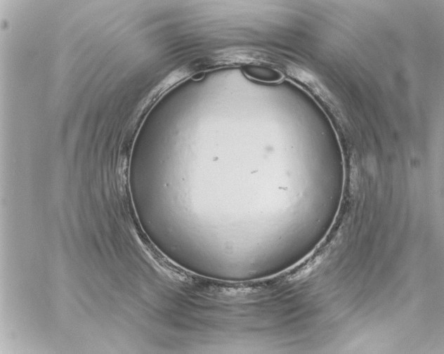 X0000057101233200510071929