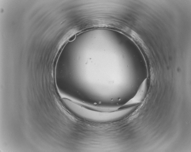 X0000057101234200510071929