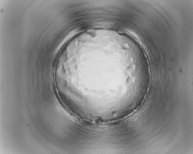 X0000057101235200510071929