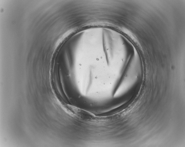 X0000057101237200510071929