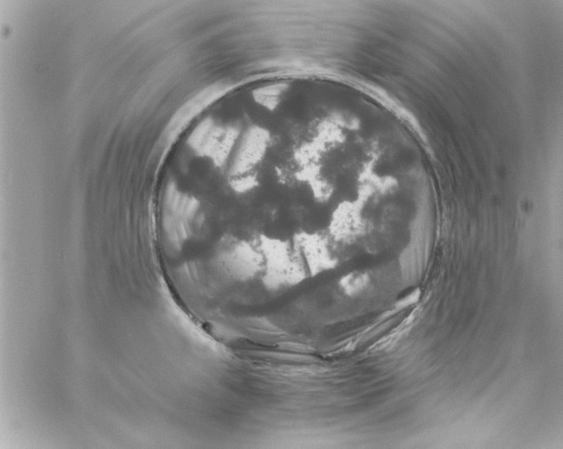 X0000057101239200510071929