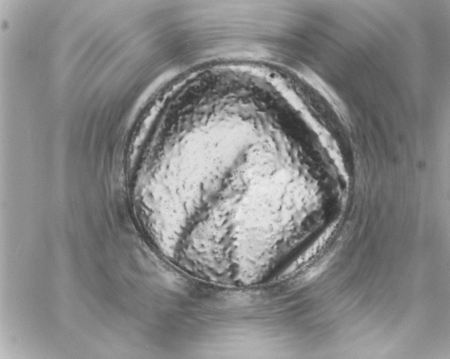 X0000057101240200510071929