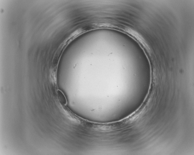 X0000057101241200510071929