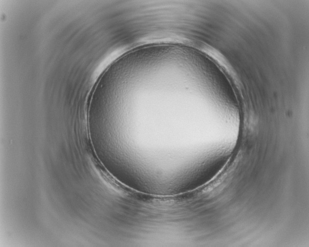 X0000057101242200510071929