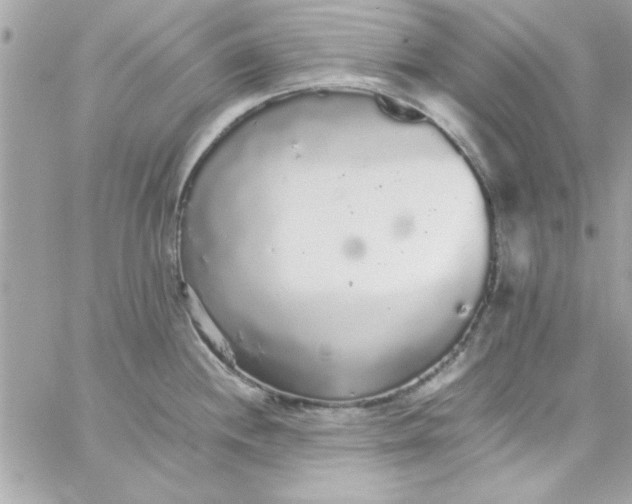 X0000057101244200510071929