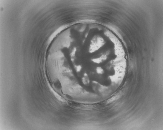 X0000057101245200510071929