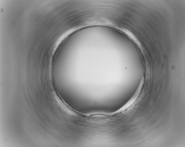 X0000057101246200510071929