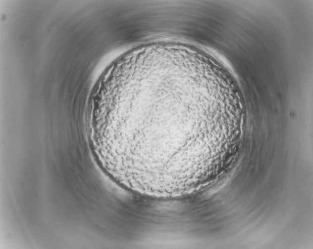 X0000057101247200510071929