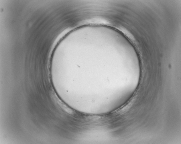 X0000057101248200510071929