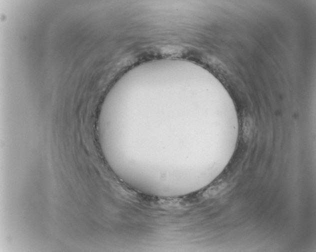 X0000057101249200510071928