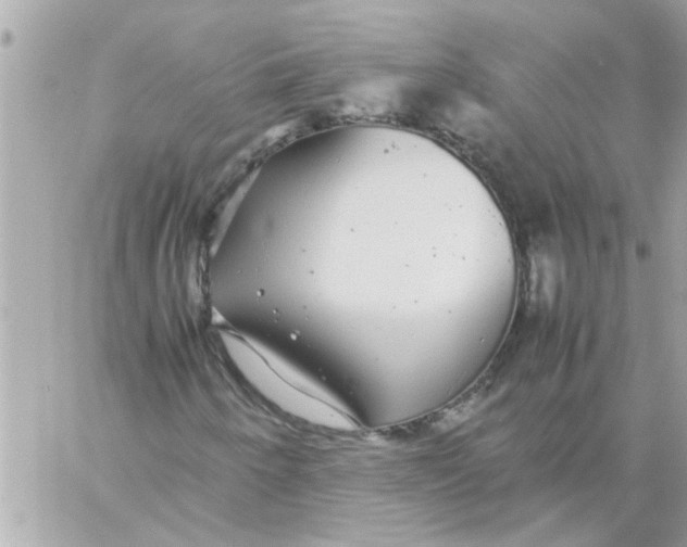 X0000057101250200510071928