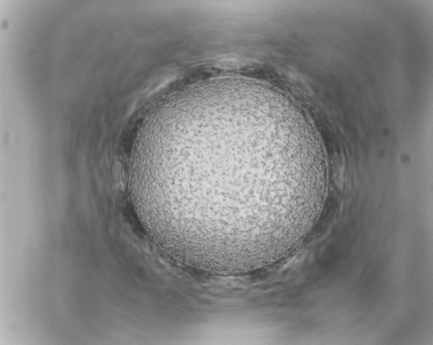 X0000057101253200510071928