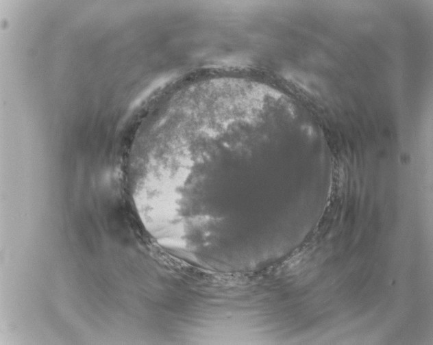 X0000057101254200510071928