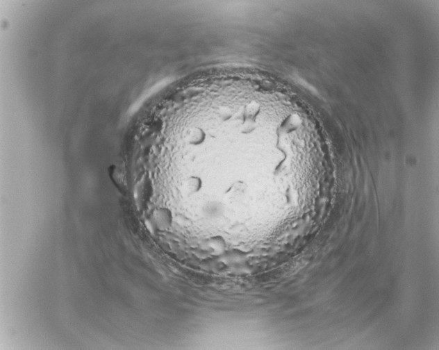 X0000057101255200510071928