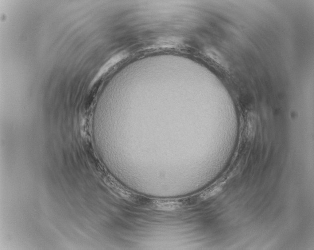 X0000057101258200510071928