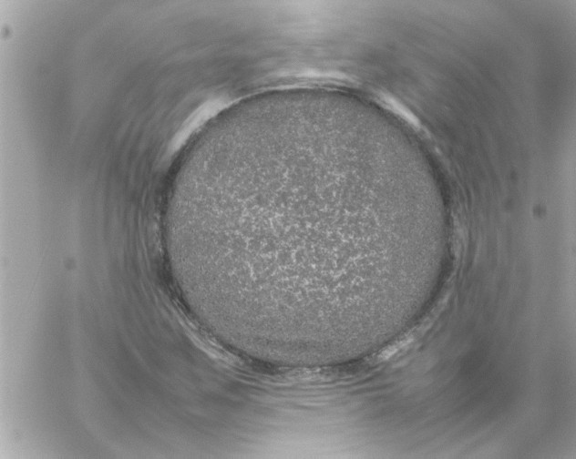 X0000057101259200510071928