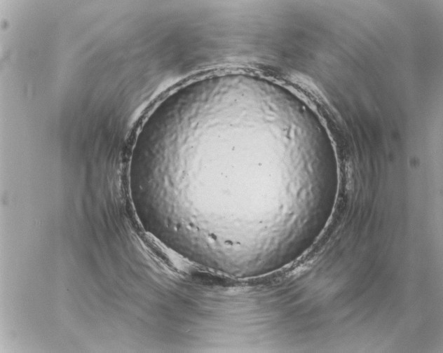 X0000057101260200510071928