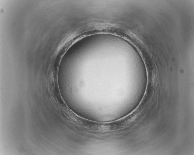 X0000057101261200510071928