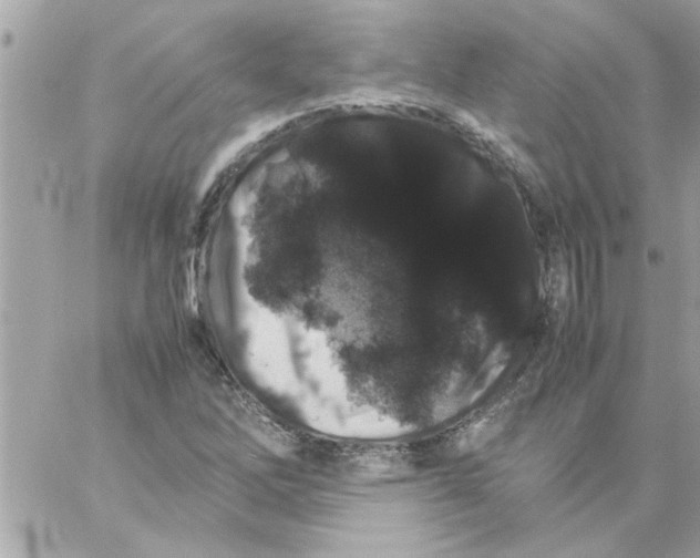 X0000057101262200510071928