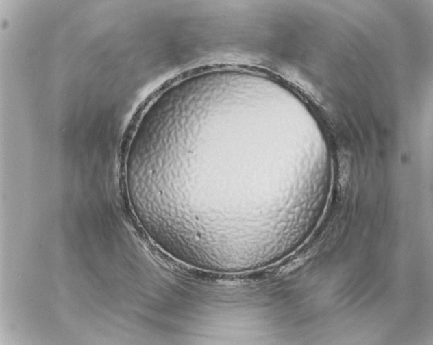 X0000057101264200510071928