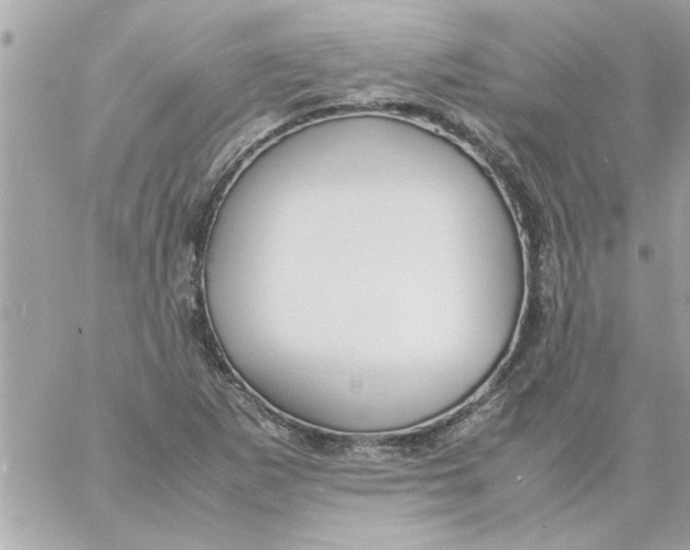 X0000057101265200510071928