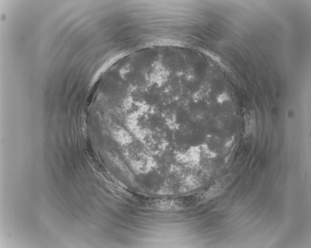 X0000057101266200510071928