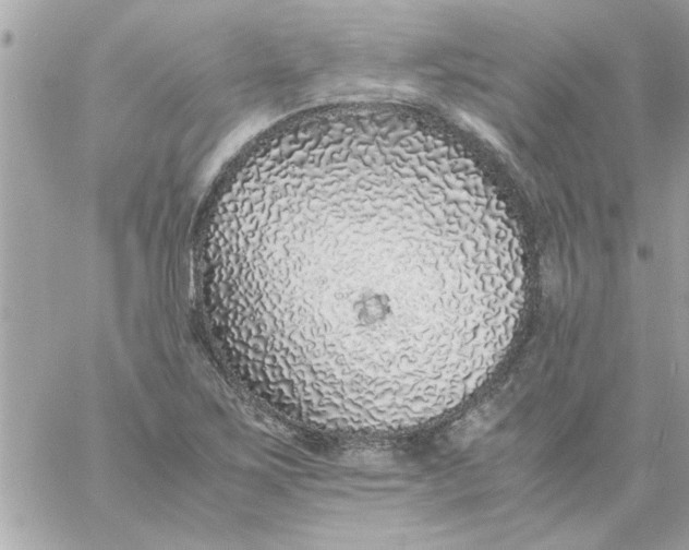 X0000057101267200510071928