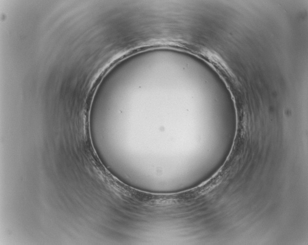 X0000057101268200510071928