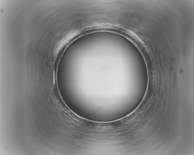 X0000057101269200510071928