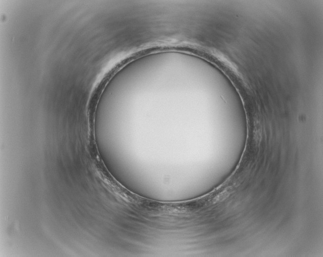 X0000057101270200510071928