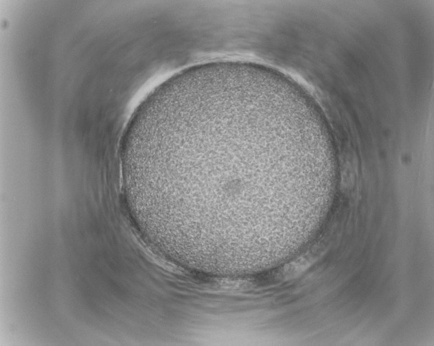 X0000057101271200510071928