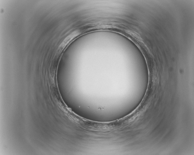 X0000057101273200510071928