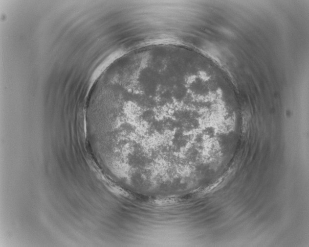 X0000057101274200510071928