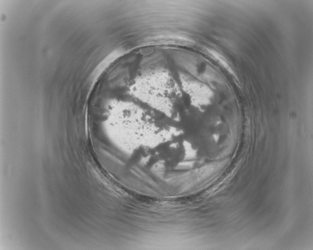 X0000057101275200510071928