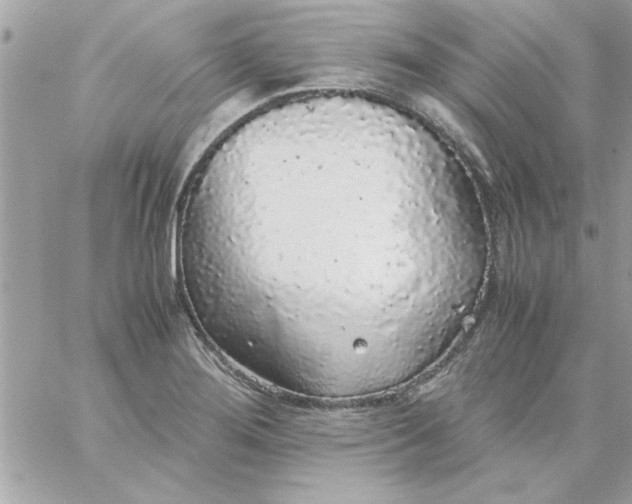 X0000057101276200510071928