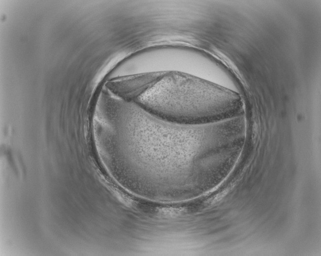 X0000057101277200510071928