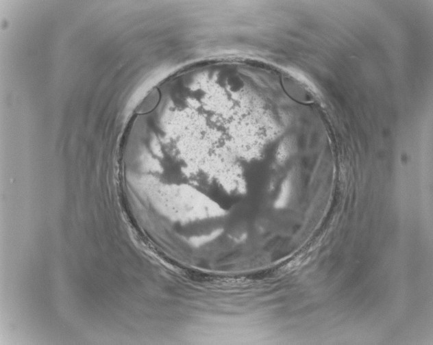 X0000057101279200510071927