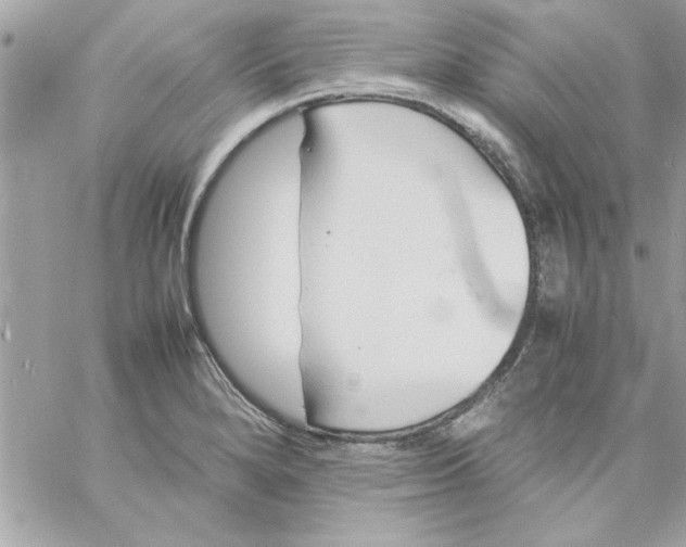 X0000057101280200510071927