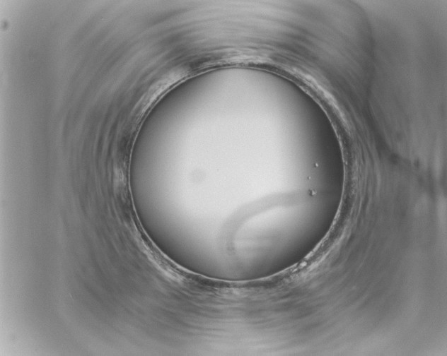 X0000057101281200510071927