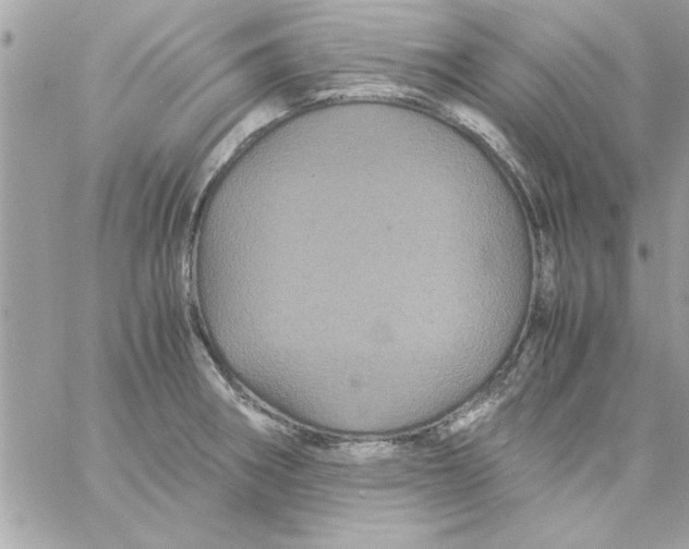 X0000057101282200510071927