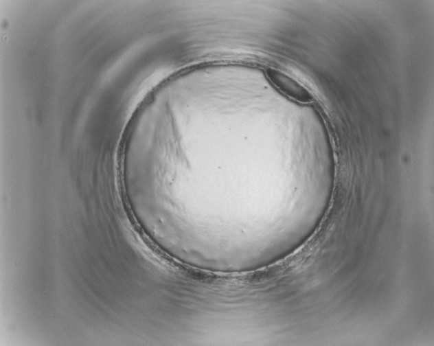 X0000057101283200510071927