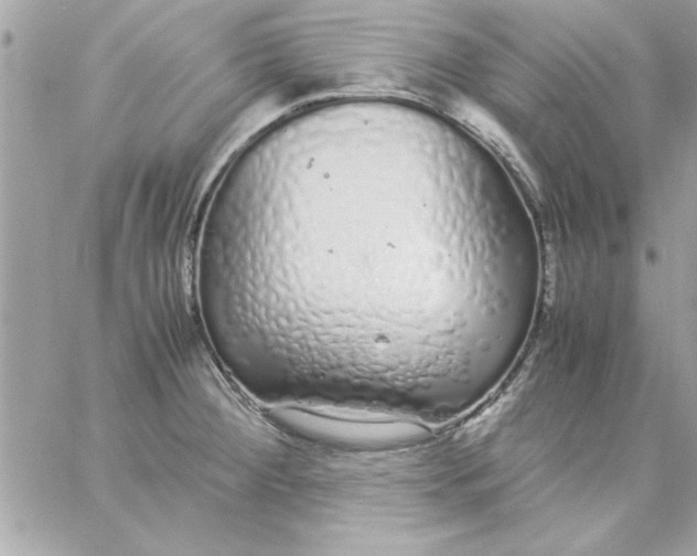 X0000057101284200510071927