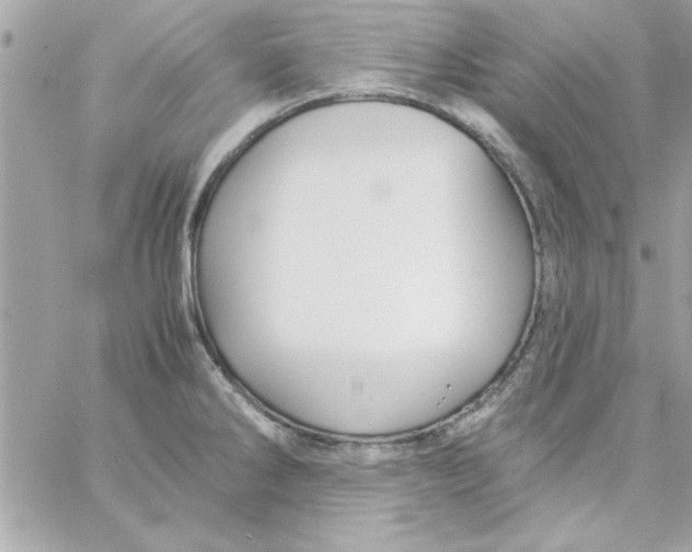 X0000057101286200510071927