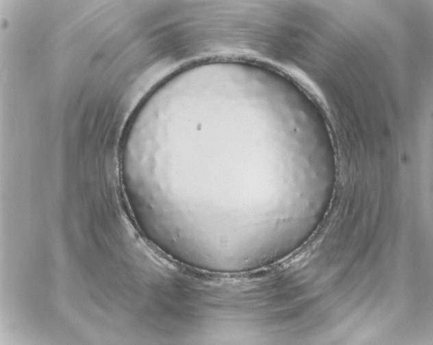 X0000057101287200510071927