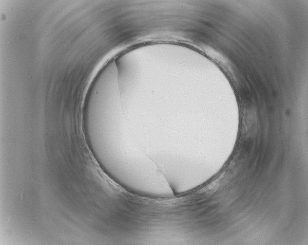 X0000057101288200510071927