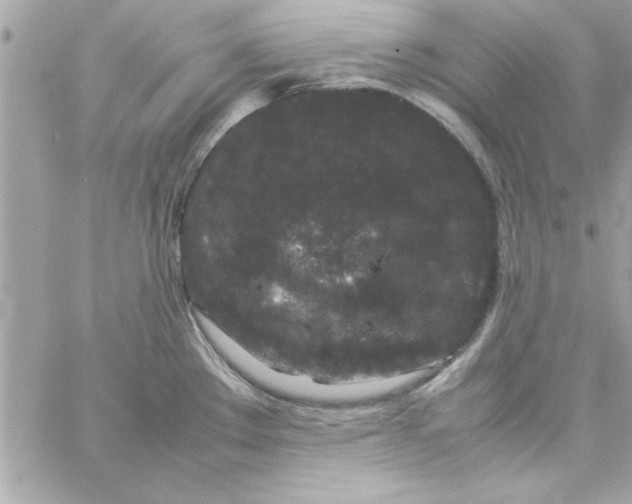 X0000057101289200510071927