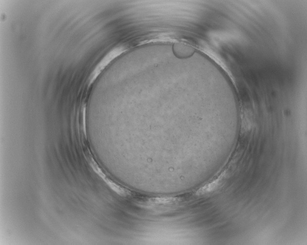 X0000057101290200510071927