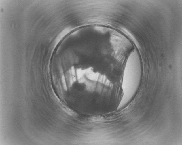 X0000057101291200510071927