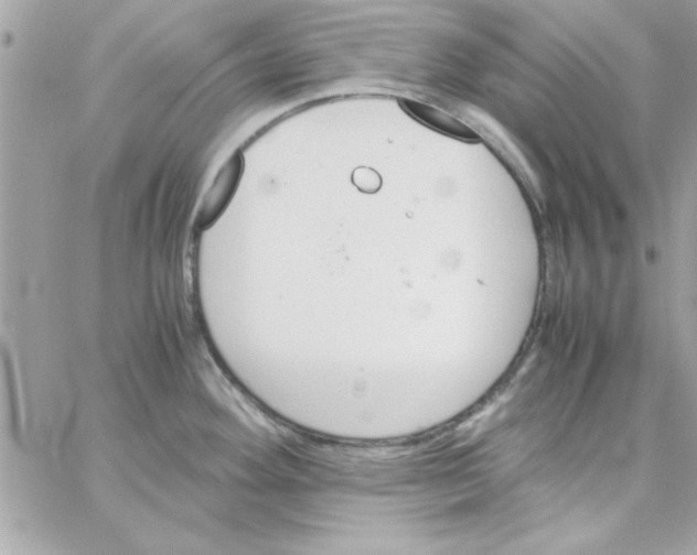 X0000057101292200510071927